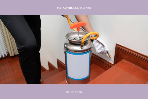 PEST CONTROL South Dennis